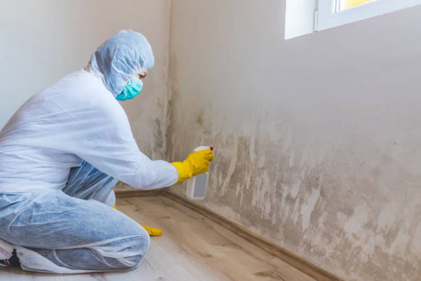 Bathroom Mold Removal assessment in Loganton bathroom